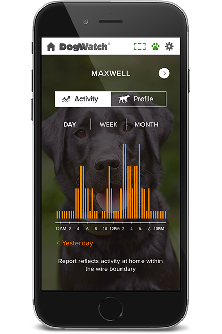 DogWatch of the Northshore and Coastal NH, Rowley, Massachusetts | SmartFence WebApp Image