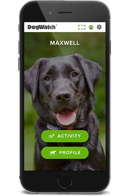 DogWatch of the Northshore and Coastal NH, Rowley, Massachusetts | SmartFence WebApp Image