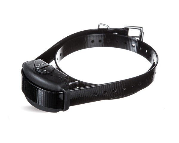 DogWatch of the Northshore and Coastal NH, Rowley, Massachusetts | BarkCollar No-Bark Trainer Product Image